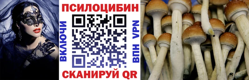 Псилоцибиновые грибы Magic Shrooms  Надым 