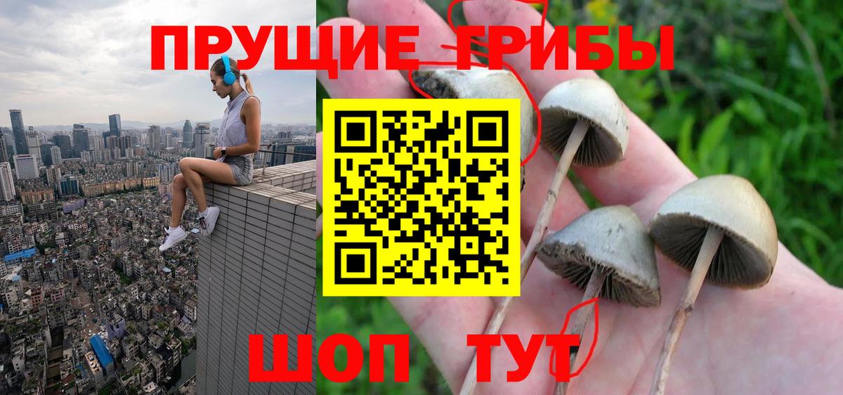 Псилоцибиновые грибы прущие грибы Надым