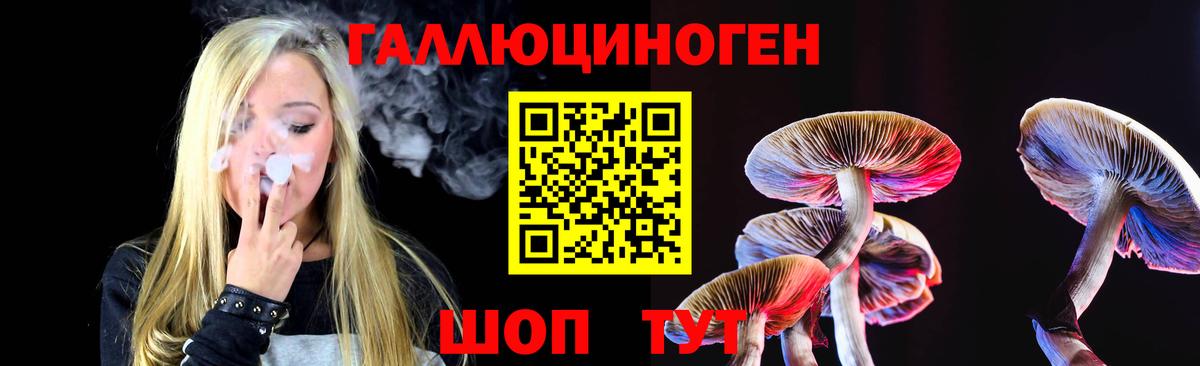 Псилоцибиновые грибы прущие грибы  хочу   Вход с VPN  Надым  Псилоцибиновые грибы GOLDEN TEACHER 