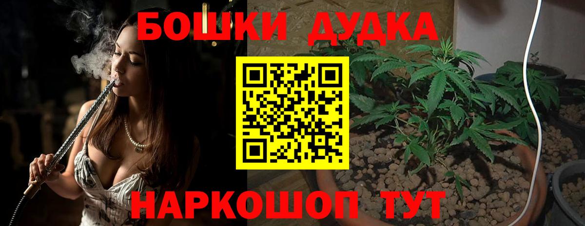 Конопля OG Kush Надым
